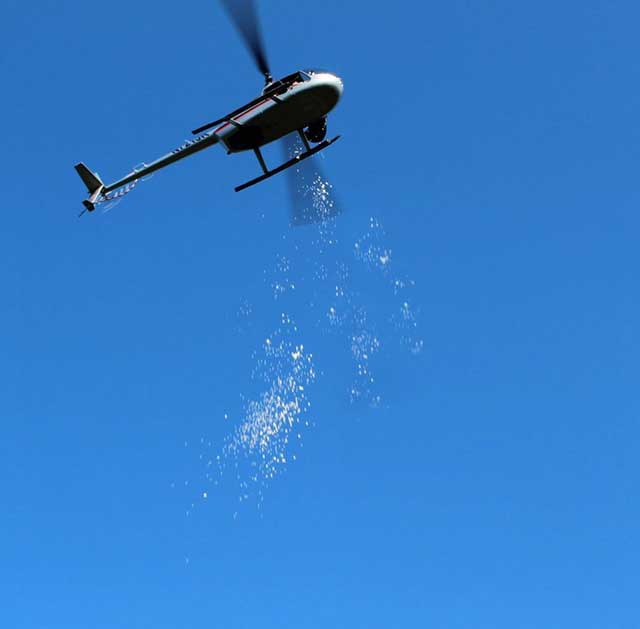 Golf Ball or Candy Drops